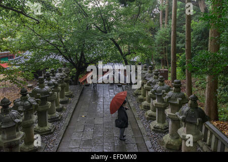 Steinlaternen in der Nähe von der Grabstätte von Tokugawa Ieyasu, Kunozan Tosho-Go-Shinto-Schrein, Shizuoka, Japan Stockfoto