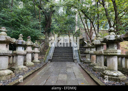 Steinlaternen auf der Strecke nach dem Gräberfeld von Tokugawa Ieyasu, Kunozan Tosho-Go-Shinto-Schrein, Shizuoka, Japan Stockfoto