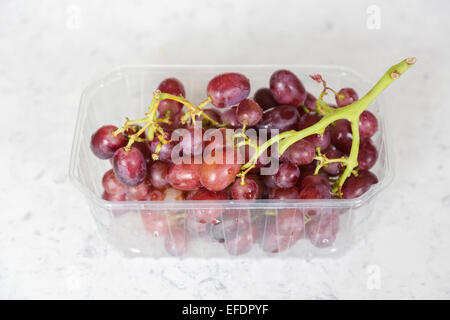 Gesunde Frucht mit Antioxidantien: einen großen Bund frische, reife rote Trauben in einem offenen Behälter aus klarem Kunststoff Verpackung bereit für Essen Stockfoto