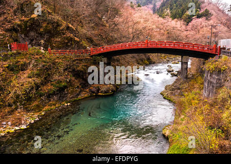 Nikko Heilige Shinkyo-Brücke, Japan. Stockfoto