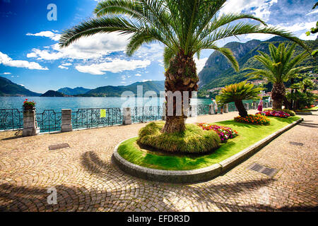 Blick auf eine Seeufer-Promenade mit Palmen und Blumen, Menaggio, Provinz Como, Comer See, Lombardei, Italien Stockfoto