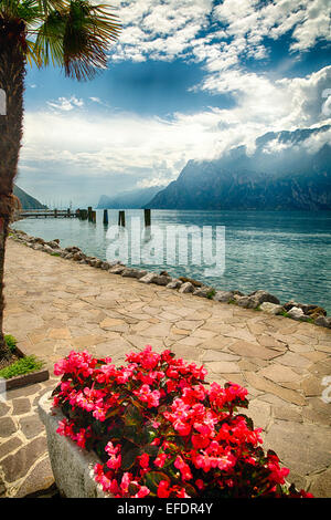 Seeufer-Ansicht mit einer Palme und rote Blüten, Nago-Torbole, Gardasee, Italien Stockfoto