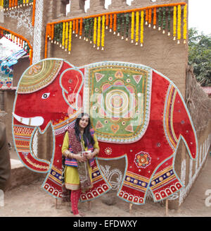 Haryana, Indien. 1. Februar 2015. Eine Dame in der Surajakund-Handwerk-Mela. Bildnachweis: PREM KAPOOR/Alamy Live-Nachrichten Stockfoto