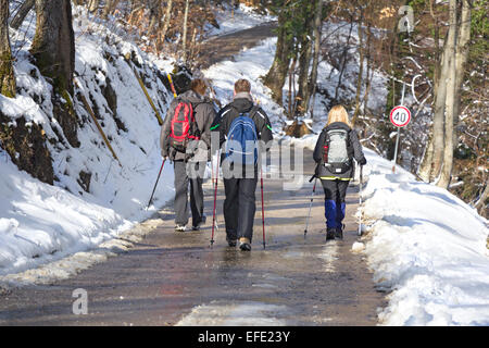 Rückansicht auf Bergsteiger bei einem Spaziergang im Schneewald Stockfoto