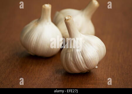 Drei Knoblauch (Allium Sativum) Kopf auf Holztisch Stockfoto