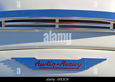 Austin Healey 3000 Stockfoto