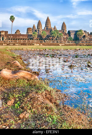 Angkor Wat Tempel spiegelt im See mit Blumen Stockfoto