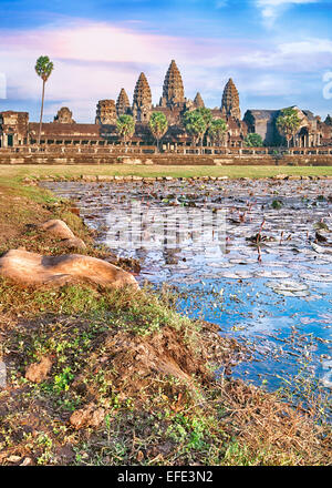 Angkor Wat Tempel spiegelt im See mit Blumen Stockfoto