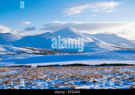 Seenplatte, Cumbria, UK. 1. Februar 2015. UK Wetter: Nach der starken Schneefälle der letzten Tage, ist die Skiddaw-massiv zum ersten Mal in diesem Jahr mit vollen Schneedecke gesehen.  Neben dem Hauptgipfel gibt es mehrere Tochterunternehmen Gipfeln und Graten, die eine imposante bergigen Masse bilden. Gesehen von Caldbeck Fells, Lake District, Cumbria, England UK. Bildnachweis: Julie Fryer/Alamy Live-Nachrichten Stockfoto