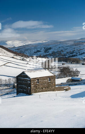 Traditionellen steinernen Scheunen im oberen Swaledale nach einem Schnee Sturm, Yorkshire Dales, UK. Stockfoto