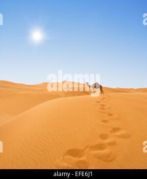 Wüste und Kamel Stockfoto