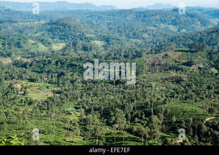 Zug, Reise, Reise durch die Teeplantagen, Landschaft im Hochland von Ella nach Kandy, Sri Lanka, Stockfoto