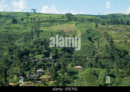 Zug, Reise, Reise durch die Teeplantagen, Landschaft im Hochland von Ella nach Kandy, Sri Lanka, Stockfoto