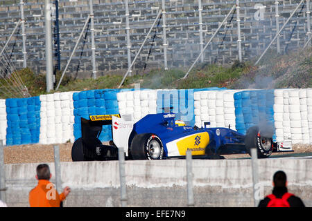 Motorsport: FIA Formel 1 Weltmeisterschaft 2015 Test in Jerez, Marcus Ericsson (SWE, Sauber F1 Team), Stockfoto