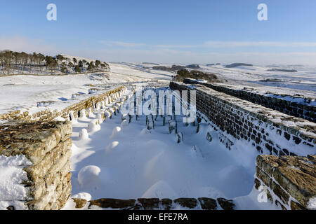 Getreidespeicher in Housesteads Roman Fort in Northumberland. Stockfoto