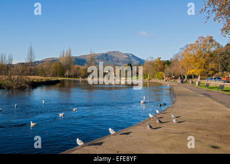 Callander; Fluss; Teith; Ben; Ledi; Stirlingshire; Trossachs; Schottland, Großbritannien Stockfoto