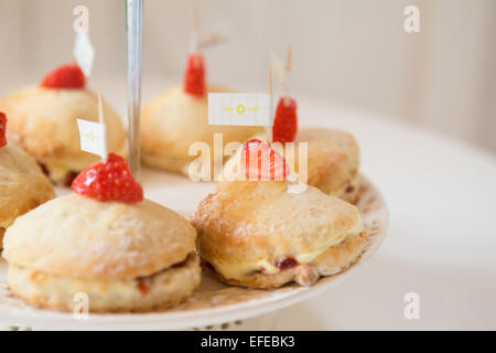 Sahne Tee plain Scones mit Erdbeeren Stockfoto