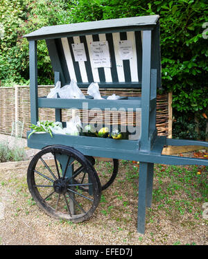 Ein Karren verkaufen Hause angebaut oder hergestellt von Obst und Gemüse auf Biddulph Grange Stoke-on-Trent, Staffordshire England produzieren Stockfoto