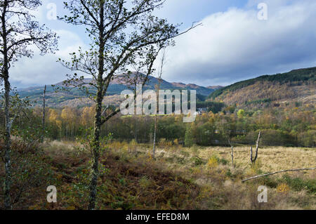 Strath Glass, in der Nähe von Glen Affric Cannich aus A831, Inverness, Highland Region, Scotland, UK Stockfoto