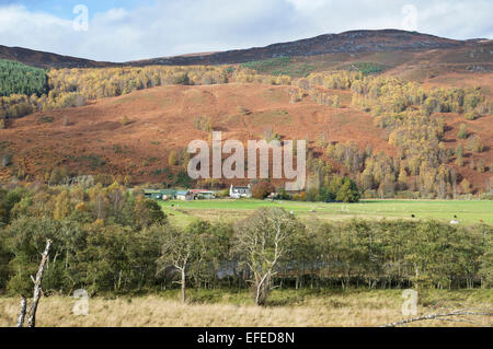 Strath Glass, in der Nähe von Glen Affric Cannich aus A831, Inverness, Highland Region, Scotland, UK Stockfoto