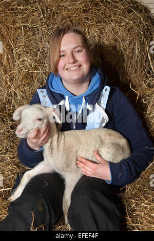 Abi Harris, 18 mit einem zweitägigen, britischen Milch Winter geboren Lamm, Waise auf Parr's Farm. Die neugeborenen Lämmer in Farmer Parr’s Animal World werden Keith und Colin getauft. Sie wurden von einem lokalen Schafzüchter adoptiert, der 2 Waisenklämmer hatte, ein gerade geborenes Drilli, das Flaschenernährung erforderte. Der Bauernhof-Park in Fleetwood nimmt manchmal ‘dieser Jahreszeit streicheln’ Lämmer auf, so dass die Kinder beim Besuch helfen können, sie zu füttern. Stockfoto