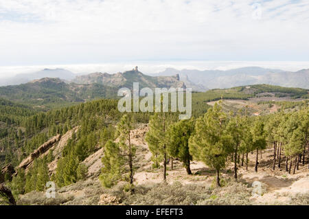 Mirador Pico Las Nieves Blick vom Gran Canaria Kanaren höchsten Punkt Berg innere Landschaft Blick auf Landschaft si Stockfoto