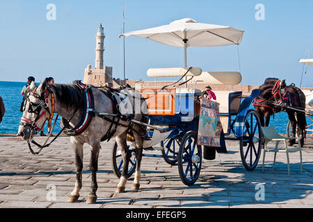 Pony und Beförderung warten auf Touristen auf der Hafenseite in Chania, Crete Stockfoto