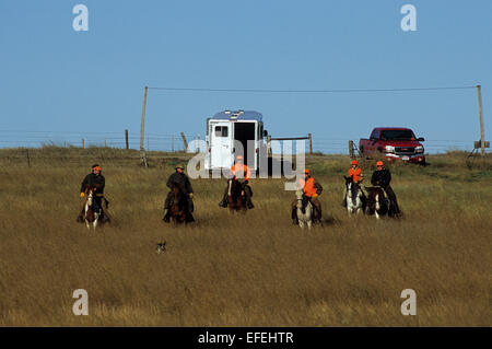 Moorhuhn-Jäger Reitpferde beim Reiten jagen mit Hunden in der Prärie in der Nähe von Pierre, South Dakota Stockfoto