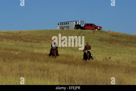 Moorhuhn-Jäger Reitpferde beim Reiten jagen mit Hunden in der Prärie in der Nähe von Pierre, South Dakota Stockfoto