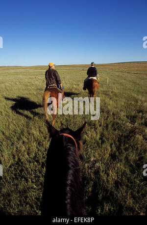 Moorhuhn-Jäger reiten Pferde beim Reiten jagen auf der Prärie in der Nähe von Pierre, South Dakota Stockfoto