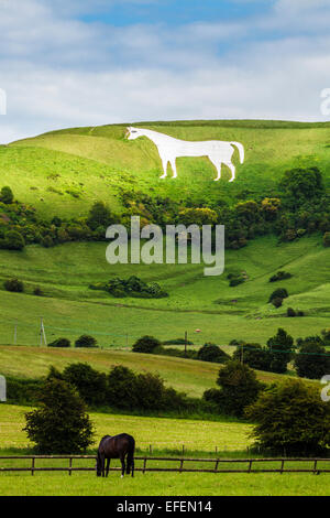 Das weiße Pferd unter Bratton Camp, eine Eisenzeit Burgberg in der Nähe von Westbury in Wiltshire. Stockfoto