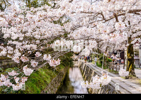 Kyoto, Japan am Philosophenweg im Frühling. Stockfoto