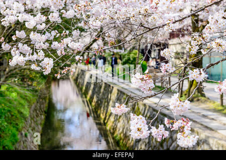 Kyoto, Japan am Philosophenweg im Frühling. Stockfoto