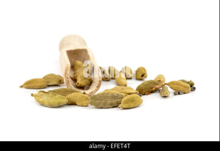 hölzerne Schaufel mit Kardamomkapseln verstreut daraus Stockfoto