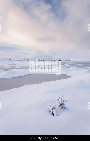 Ein einsamer Werk erreichte durch eine dicke Schneedecke auf Rannoch Moor. Die aufgehende Sonne schafft einige schöne weiche Streiflicht Stockfoto