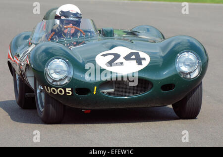 Der Jaguar D-Type ist ein Sport Rennwagen, die von Jaguar Cars Ltd. zwischen 1954 und 1957 produziert wurde. Mehrere Le Mans Sieger. Racing in Goodwood Stockfoto