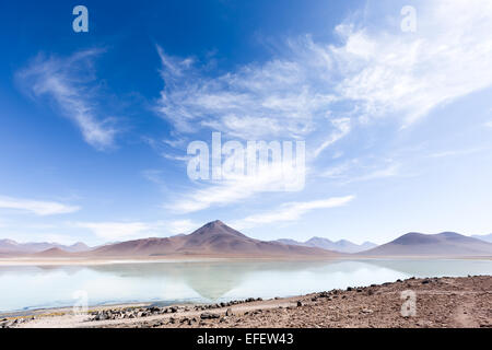 In Laguna Blanca Uyuni Wüste, Altiplano, Bolivien, Südamerika Stockfoto