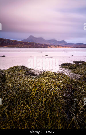 Dramatische Wolken über Ben Loyal, über das Wattenmeer von Kyle of Tongue, Sutherland, mit einem Bett von Seetang im Vordergrund zu sehen. Stockfoto