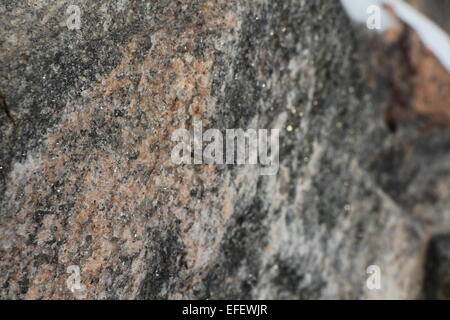 ein Foto von natürlichen kanadischen Stein, Stein, Foto, Granit, starke, Nahaufnahme, Natur, roter Stein Stockfoto