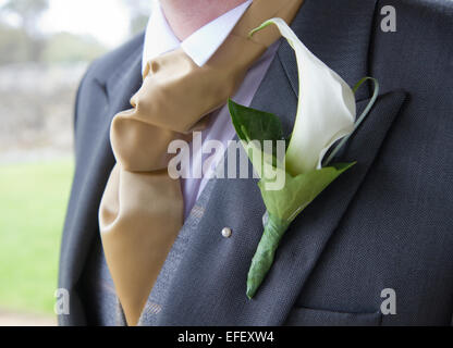 Bräutigam mit Krawatte und die Corsage am Revers Stockfoto