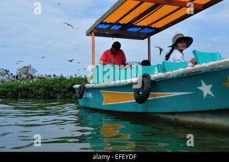 Überwachung der Fregattenvogel "Isla de Los Pájaros" - PUERTO PIZARRO. Abteilung von Tumbes. Peru Stockfoto