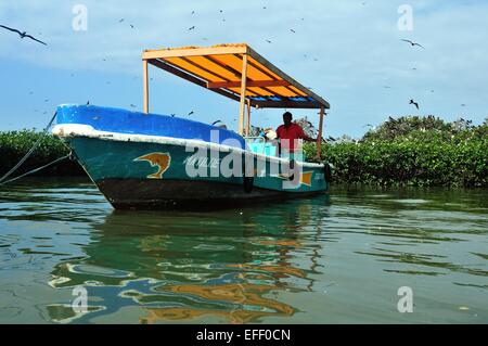 Überwachung der Fregattenvogel "Isla de Los Pájaros" - PUERTO PIZARRO. Abteilung von Tumbes. Peru Stockfoto