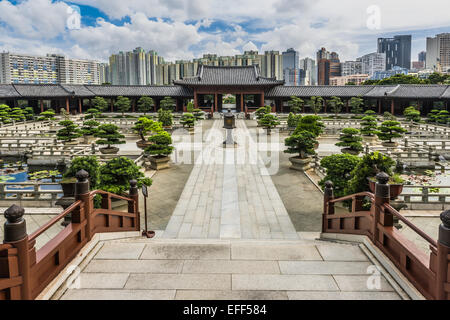 Chi Lin Nunnery Hof in Kowloon in Hong Kong Stockfoto