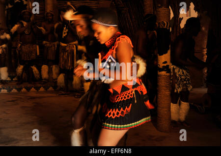 Menschen, Kultur, Erwachsene Männer und Frauen Tänzer, traditioneller Zulutanz, Shakaland Themendorf, KwaZulu-Natal, Südafrika Stockfoto