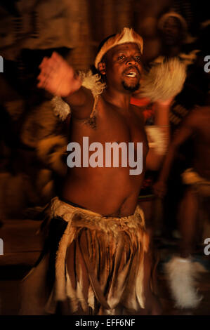 Menschen, Erwachsene männliche Tänzerin, Zulu kulturelle Kleidung Tanz traditionelle Krieger Tanz, Kulturshow, Shakaland Thema Dorf, Südafrika, Bewegung, Weichzeichnen Stockfoto