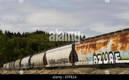 Langer Zug von Tanker Autos mit Graffiti gegen Grün der Bäume und Berge. Stockfoto