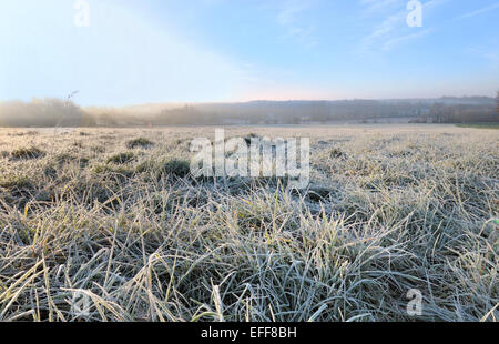 Messer von Wiese mit Frost bedeckt Stockfoto