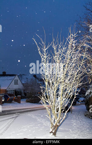 Wimbledon London, UK. 3. Februar 2015. Londoner wachte heute Morgen, der erste Schnee des Jahres Credit: Amer Ghazzal/Alamy Live-Nachrichten Stockfoto