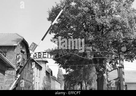 Eingangstor zum KZ Auschwitz, Polen Stockfoto