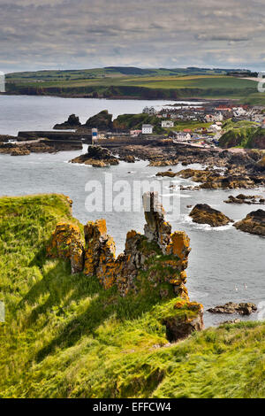 St. Abbs; Schottland; UK Stockfoto